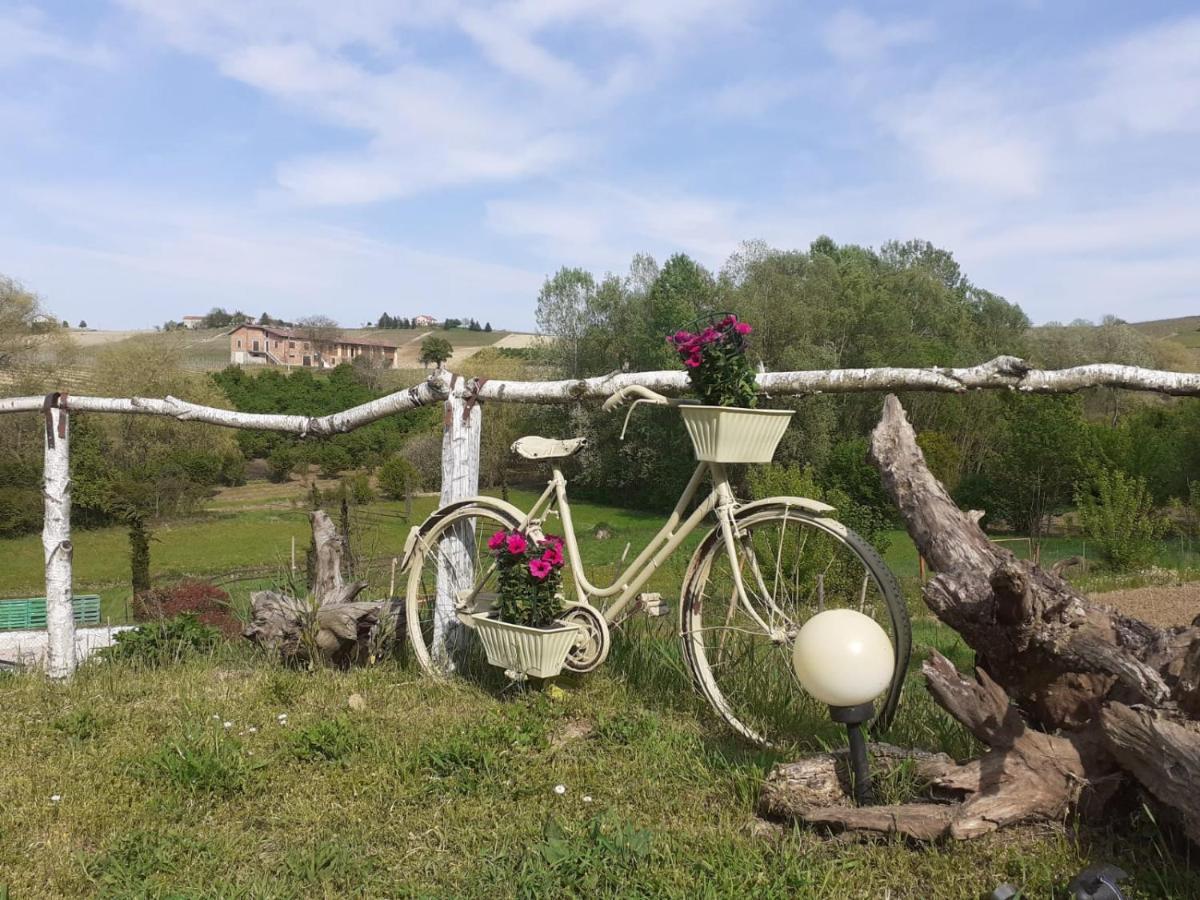 I Boidi Apartman Nizza Monferrato Kültér fotó