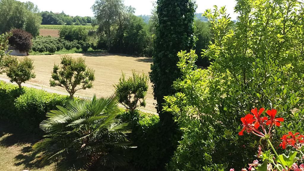 I Boidi Apartman Nizza Monferrato Kültér fotó