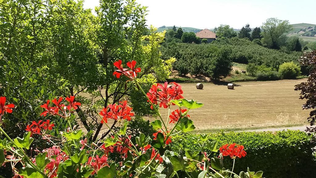 I Boidi Apartman Nizza Monferrato Kültér fotó